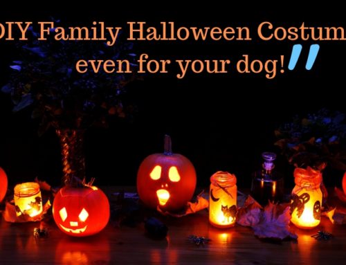 5 DIY Family Halloween Costumes…  even for your dog!