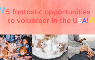 5 fantastics opportunities to volunteer