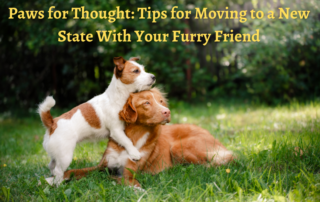 Paws For Thought - Tips for Moving to a Different Stare With Your Furry Friend